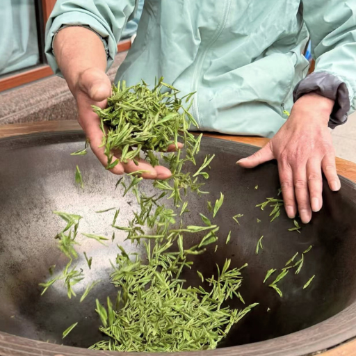 How Green Tea Is Made