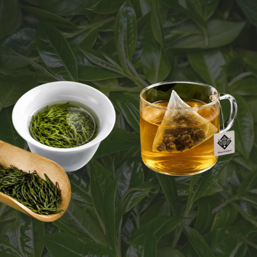 Best Green Tea for Beginners